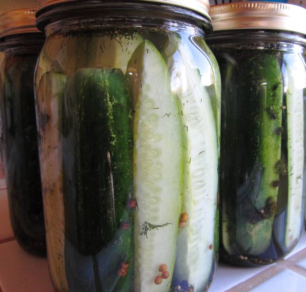 spicy garlic dill pickles